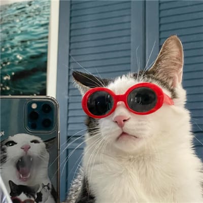 LiaMurni avatar